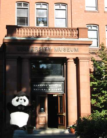 Prof. Steve Steve at the Harvard Museum of Natural History