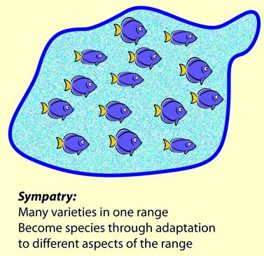 Sympatry.jpg