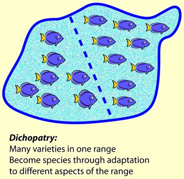 dichopatry.jpg