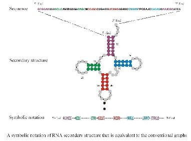 rna_small.jpg