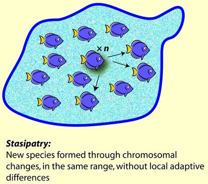 stasipatry.jpg