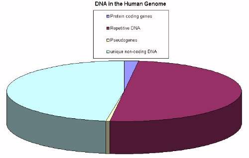 GENOME.jpg