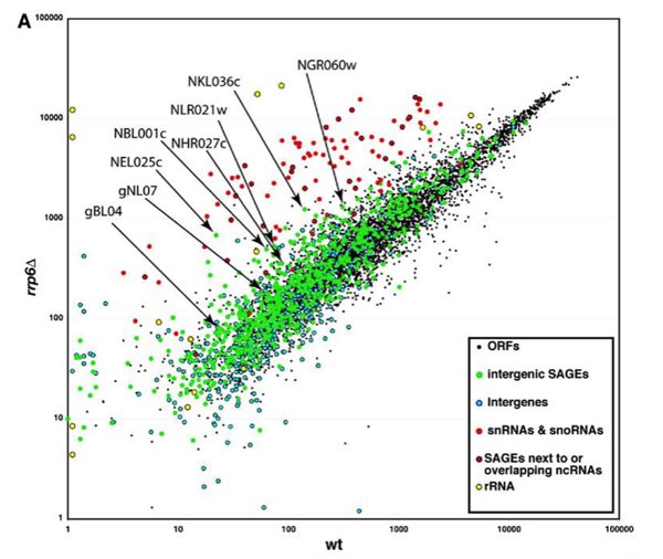 Fig1A.jpg