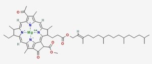 bacteriochlorophyll.jpg