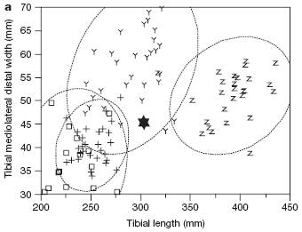 figure3a.jpg