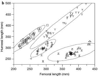 figure3b.jpg