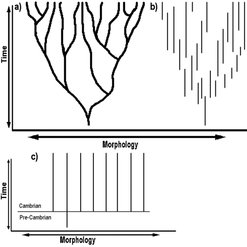 smoothtree.gif