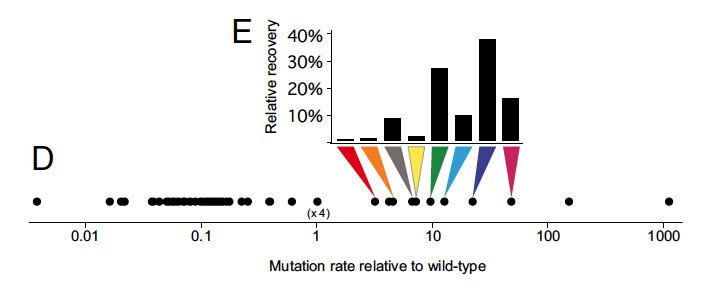 Loh et al Fig 2.jpg