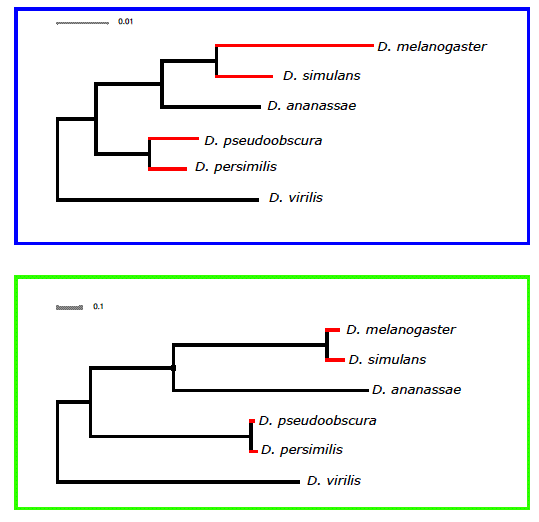 PavelSupplFig3.gif