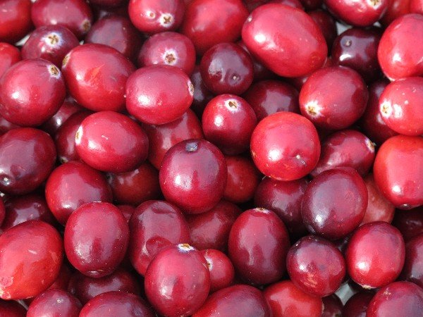 IMG_3072Cranberries_600.JPG