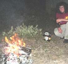 campfire.jpg