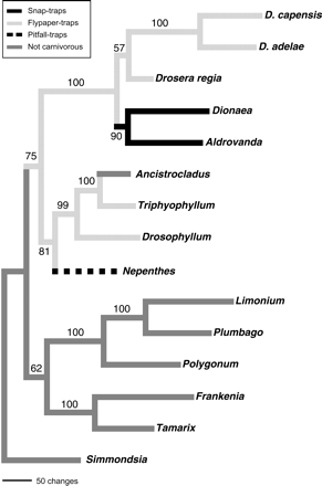 Cameron_etal_2002_AmJBot_Fig3_evo_Venus_flytrap.gif