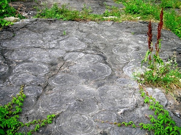 Kocher_HoytStromatolites.jpg