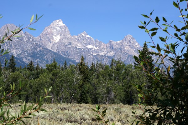 Grand Tetons