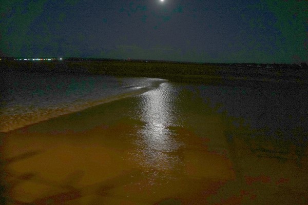 Tidal bore